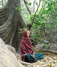Wu Xing, cultivating the mind, meditation with the nature elements, at the root of a big tree.