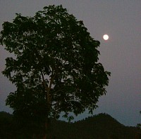 Look at the moon, not the finger. Full moon in the skies of northern Thailand.